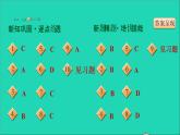 历史人教版九年级上册同步教学课件第6单元资本主义制度的初步确立第19课法国大革命和拿破仑帝国2
