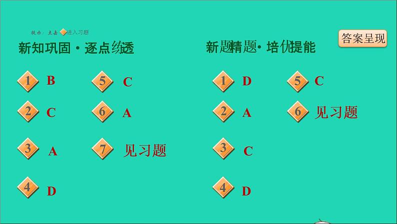 历史人教版九年级上册同步教学课件第1单元古代亚非文明第3课古代印度1第2页