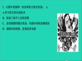 历史人教版九年级下册同步教学课件第1单元殖民地人民的反抗与资本主义制度的扩展第2课俄国的改革作业