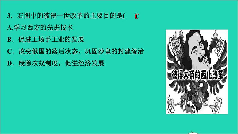 历史人教版九年级下册同步教学课件第1单元殖民地人民的反抗与资本主义制度的扩展第2课俄国的改革作业04