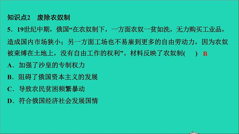 历史人教版九年级下册同步教学课件第1单元殖民地人民的反抗与资本主义制度的扩展第2课俄国的改革作业06