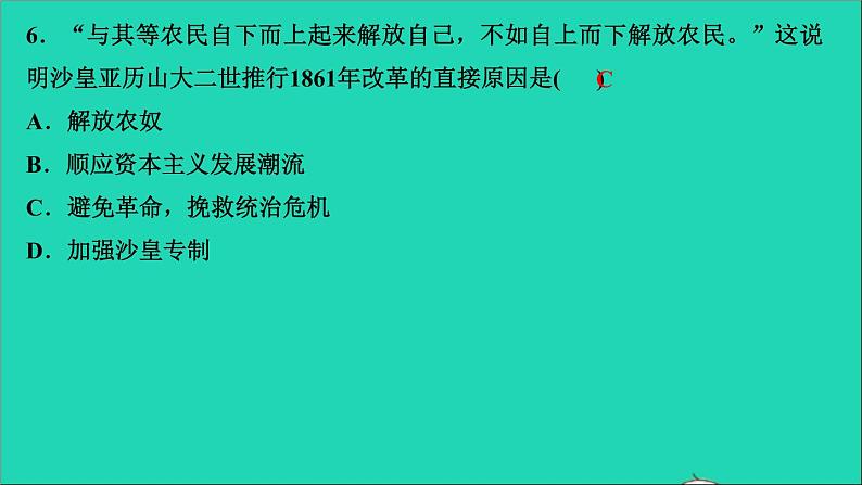 历史人教版九年级下册同步教学课件第1单元殖民地人民的反抗与资本主义制度的扩展第2课俄国的改革作业07