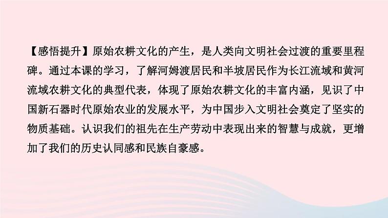 历史人教版七年级上册同步教学课件第1单元史前时期中国境内早期人类与文明的起源第2课原始农耕生活作业06