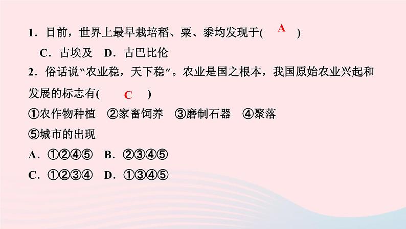 历史人教版七年级上册同步教学课件第1单元史前时期中国境内早期人类与文明的起源第2课原始农耕生活作业08