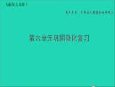 歷史人教版九年級(jí)上冊(cè)同步教學(xué)課件第6單元資本主義制度的初步確立鞏固強(qiáng)化復(fù)習(xí)