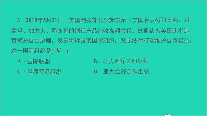 历史人教版九年级下册同步教学课件第6单元走向和平发展的世界考点突破作业04