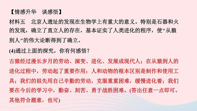 历史人教版七年级上册同步教学课件第1单元史前时期中国境内早期人类与文明的起源第1课中国境内早期人类的代表___北京人作业06