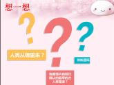 部编版七年级历史上册--《第1课 中国早期人类的代表——北京人》课件1