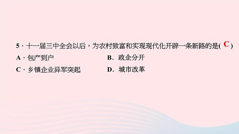 历史人教版八年级下册同步教学课件第3单元中国特色社会主义道路第8课经济体制改革作业第6页