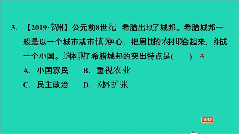 历史人教版九年级上册同步教学课件第2单元古代欧洲文明第4课希腊城邦和亚历山大帝国第6页