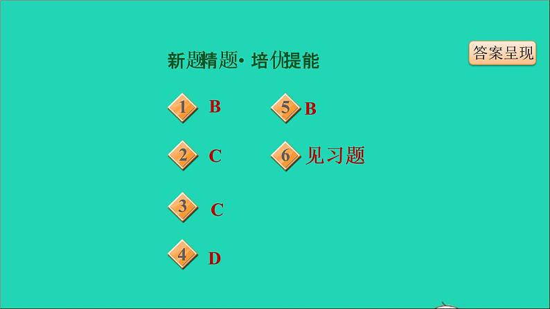 历史人教版九年级上册同步教学课件第3单元封建时代的欧洲第7课基督教的兴起和法兰克王国03