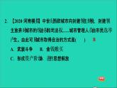 历史人教版九年级上册同步教学课件第3单元封建时代的欧洲第9课中世纪城市和大学的兴起
