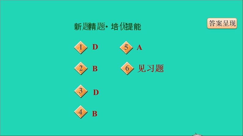 历史人教版九年级上册同步教学课件第4单元封建时代的亚洲国家第12课阿拉伯帝国03