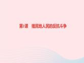 历史人教版九年级下册同步教学课件第1单元殖民地人民的反抗与资本主义制度的扩展第1课殖民地人民的反抗斗争作业