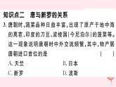 历史人教版七年级下册同步教学课件第1单元隋唐时期：繁荣与开放的时代第4课唐朝的中外文化交流习题