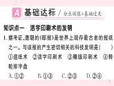 历史人教版七年级下册同步教学课件第2单元辽宋夏金元时期：民族关系发展和社会变化第13课宋元时期的科技与中外交通习题