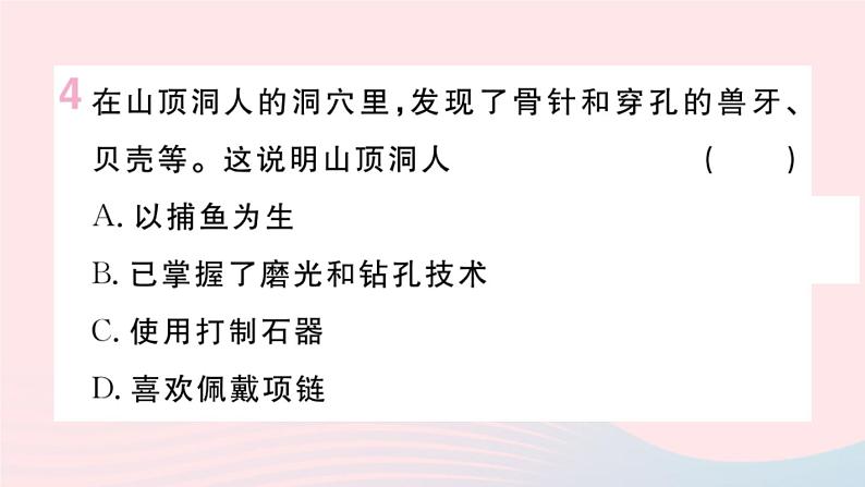 历史人教版七年级上册 同步教学课件第1单元史前时期：中国境内早期人类与文明的起源第1课中国境内早期人类的代表__北京人作业第5页