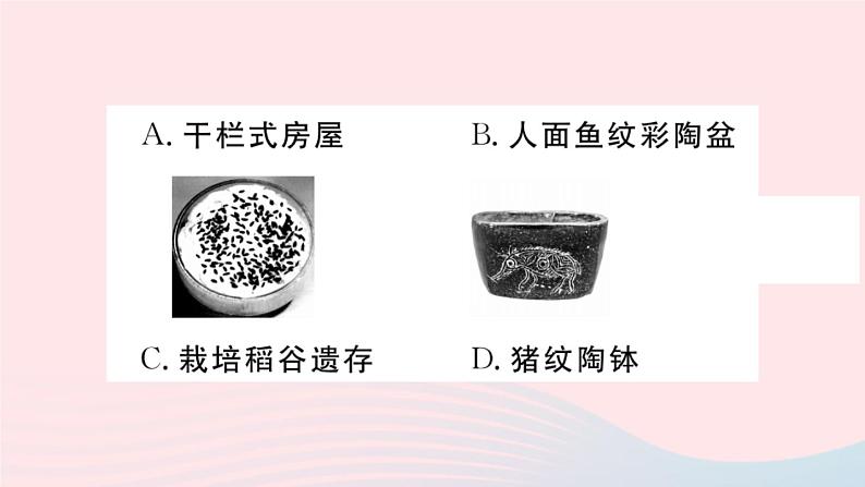 历史人教版七年级上册 同步教学课件第1单元史前时期：中国境内早期人类与文明的起源第2课原始农耕生活作业08