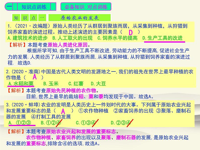 2.人教版中国历史七年级上册《新编基础训练》第2课《原始农耕生活》评析PPT课件02