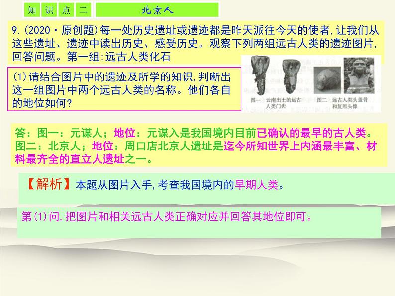 1.人教版中国历史七年级上册《新编基础训练》第1课《中国境内早期人类的代表——北京人》评析PPT课件06