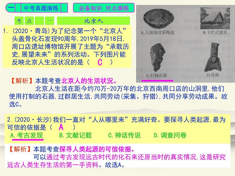 101.人教版中国历史七年级上册《新编基础训练》第1单元《史前时期：中国境内早期人类与文明起源》评析PPT课件03