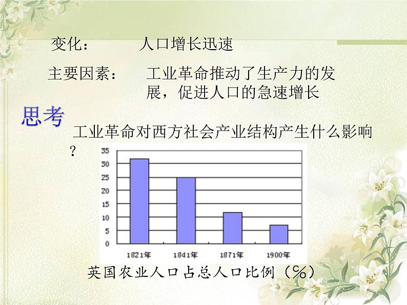 人教部编版九年级历史下册6工业化国家的社会变化教学课件第5页