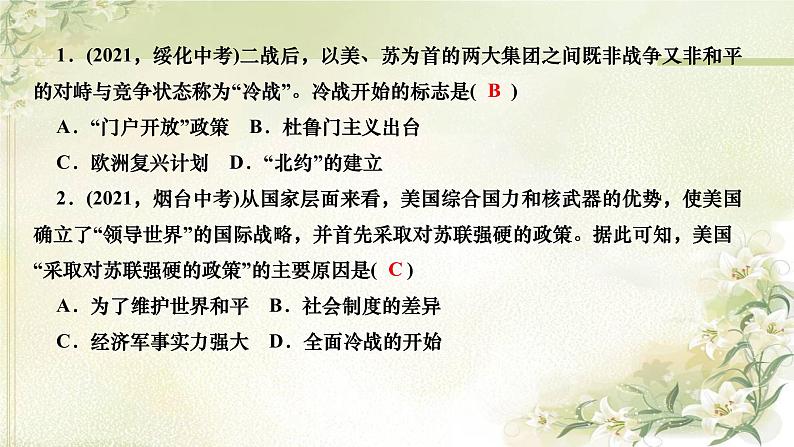 人教部编版九年级历史下册第16课冷战PPT课件03