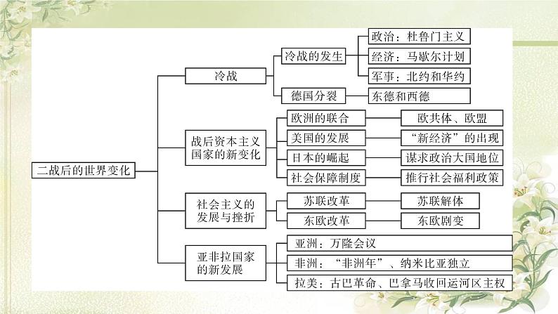 人教部编版九年级历史下册第五单元综述PPT课件第5页