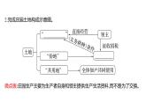 2022-2023 部编版历史 九年级上册 第三单元  第8课　西欧庄园 课件