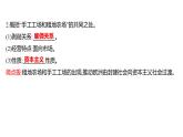 2022-2023 部编版历史 九年级上册 第五单元  第13课　西欧经济和社会的发展 课件