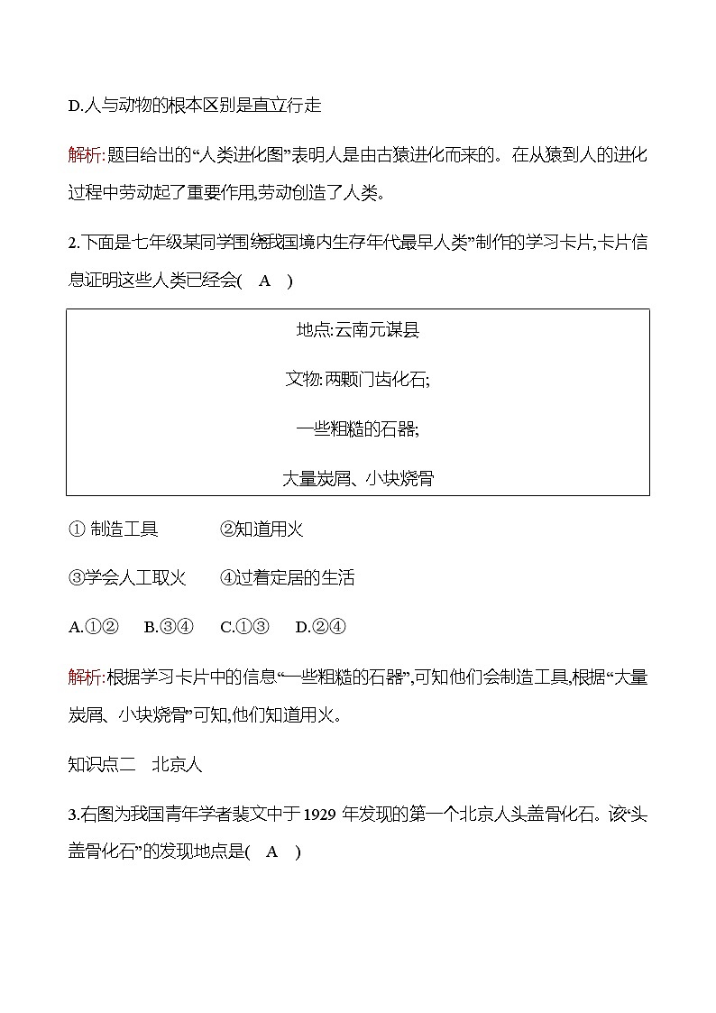 第一单元  第1课  中国境内早期人类的代表——北京人 同步练习2022-2023 部编版历史 七年级上册03