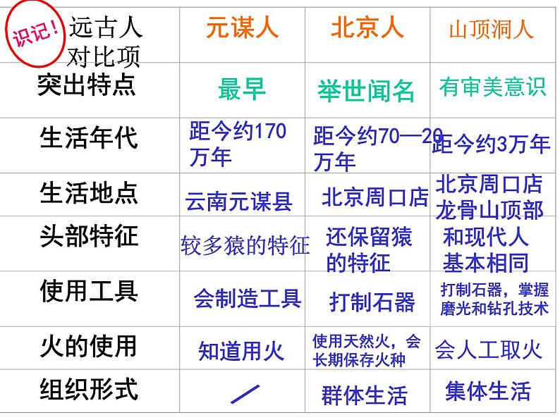 历史七年级上册复习课件ppt第5页