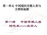 人教版七年级历史上册第1课《 中国早期人类的代表—北京人》课件