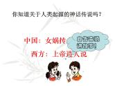 人教版七年级历史上册第1课《 中国早期人类的代表—北京人》课件