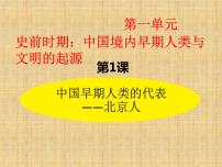 七年级上册第一单元 史前时期：中国境内早期人类与文明的起源第一课 中国境内早期人类的代表—北京人教课课件ppt