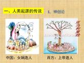 第1课 中国早期人类的代表—北京人 课件
