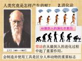 第1课 中国早期人类的代表—北京人 课件