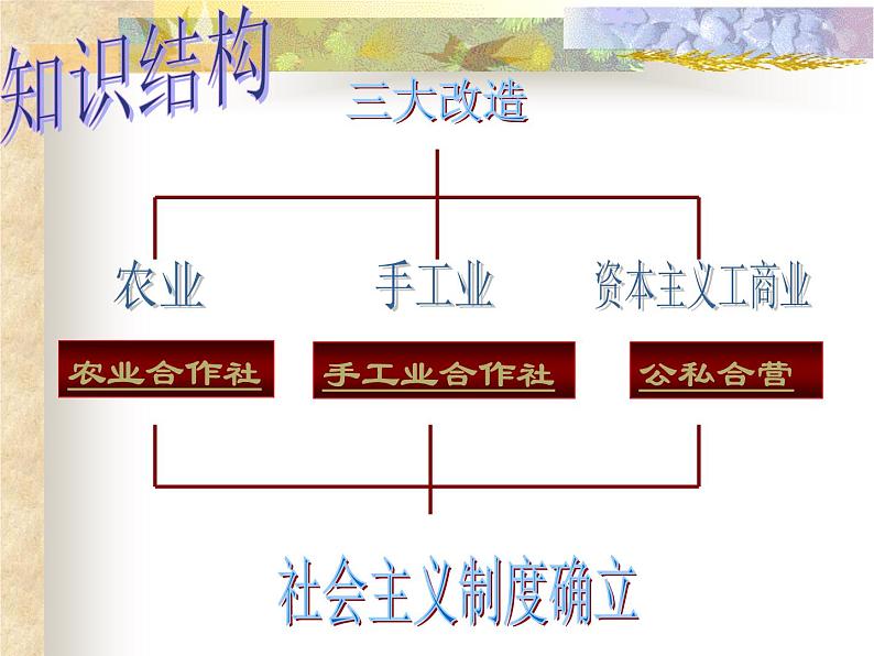 人教部编版八年级历史下册5三大改造(1)课件第5页