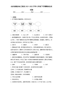 山东省临沂市兰陵县2021-2022学年七年级下学期期末历史试题-(含答案)