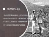 人教版九年级历史上册《西欧经济和社会的发展》PPT教学课件