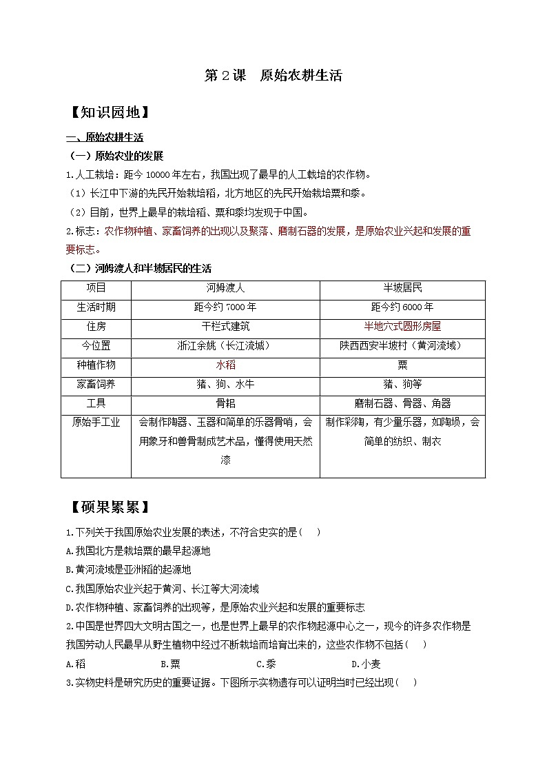 历史人教部编版七年级上册导学案 第2课 原始农耕生活01