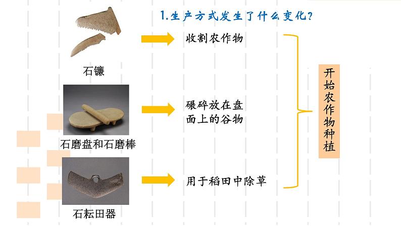 第2课 原始农耕生活 课件04