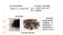 人教部编版七年级上册第二课 原始农耕生活评课课件ppt_ppt04