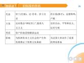 部编历史九年级上册03-第19课法国大革命和拿破仑帝国课件+同步练习