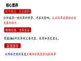 第2课 俄国的改革课件---2022—2023学年部编版初中历史九年级下册