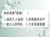 部编版历史八年级上册 第16课 毛泽东开辟井冈山道路 习题课件