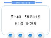 人教版九年级历史上第1单元古代亚非文明第1课　古代埃及习题课件