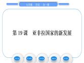 人教版九年级历史下第5单元二战后的世界变化第19课　亚非拉国家的新发展习题课件