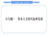 人教版九年级历史上第6单元资本主义制度的初步确立小专题一　资本主义的兴起和发展习题课件