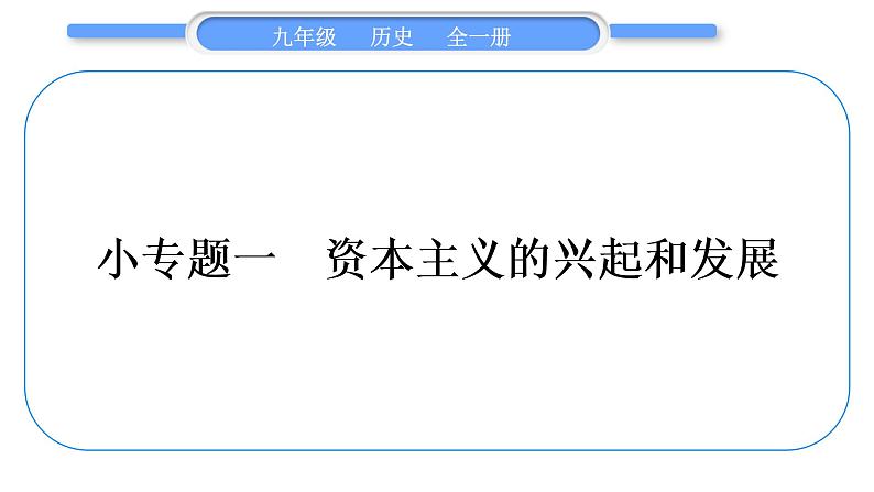 人教版九年级历史上第6单元资本主义制度的初步确立小专题一　资本主义的兴起和发展习题课件01